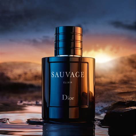 dior sauvage elixir 100ml price in india|sauvage elixir 100ml best price.